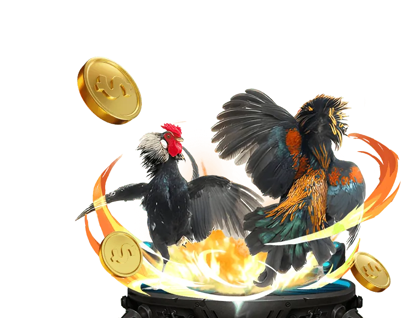 Giới thiệu về đá gà trực tuyến